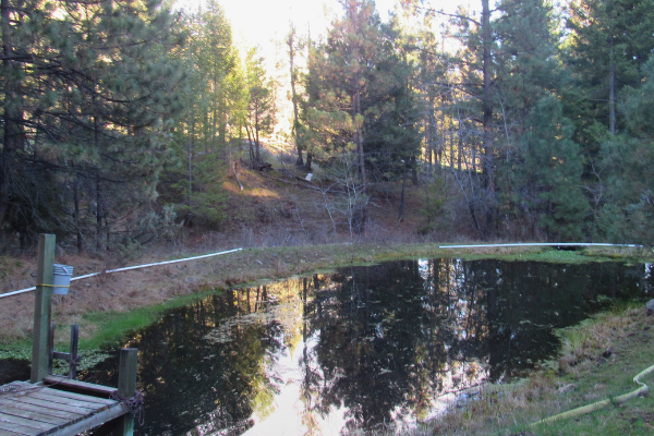 Swimming at cummings creek retreat in Oregon
