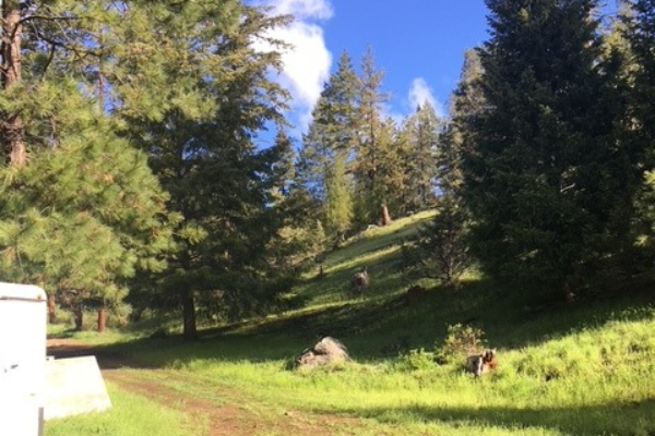 gallery-scenic-views (2)